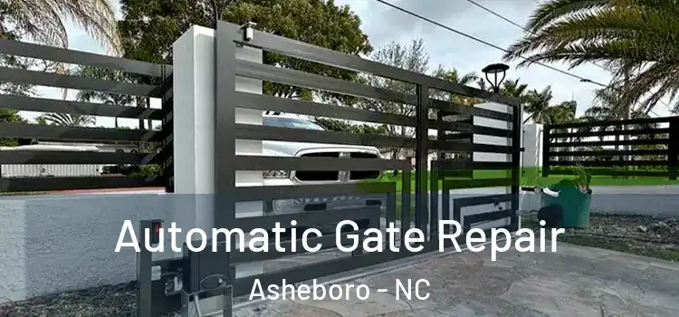  Automatic Gate Repair Asheboro - NC