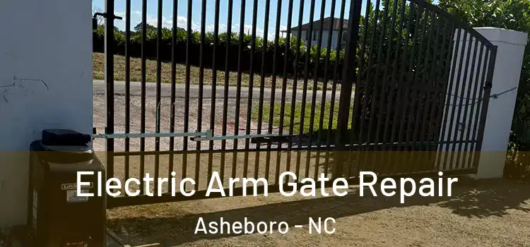  Electric Arm Gate Repair Asheboro - NC