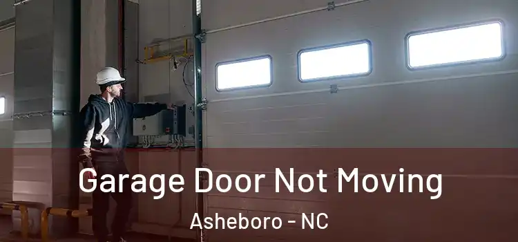  Garage Door Not Moving Asheboro - NC