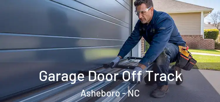  Garage Door Off Track Asheboro - NC
