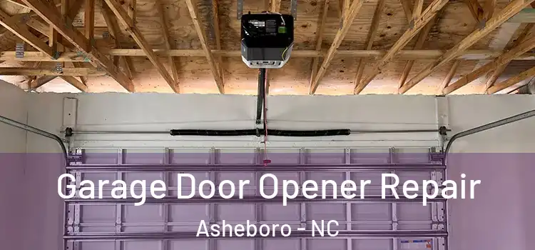  Garage Door Opener Repair Asheboro - NC