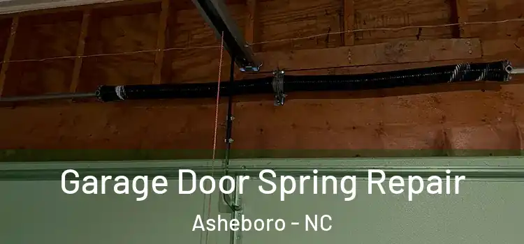  Garage Door Spring Repair Asheboro - NC