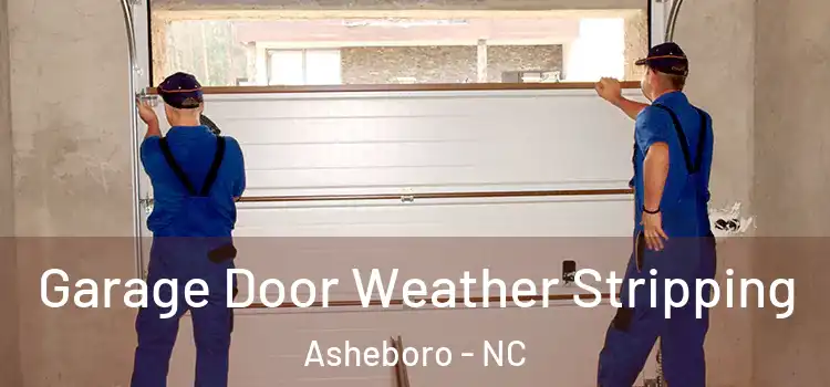  Garage Door Weather Stripping Asheboro - NC