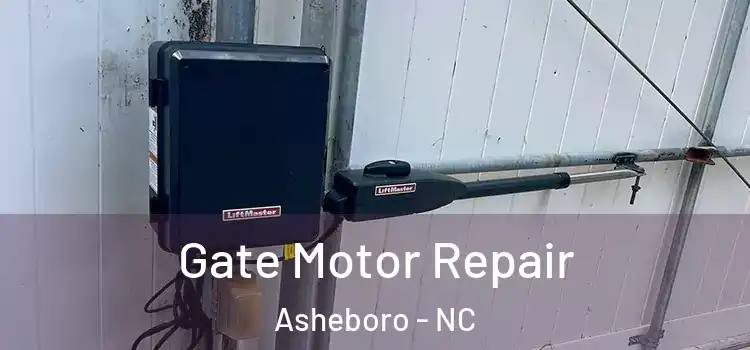 Gate Motor Repair Asheboro - NC