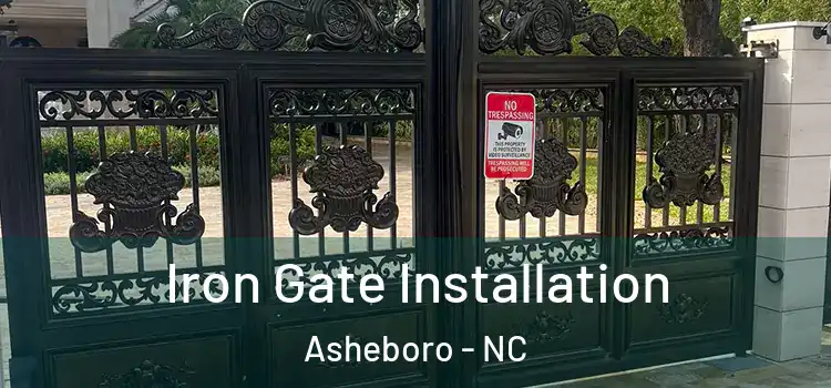 Iron Gate Installation Asheboro - NC