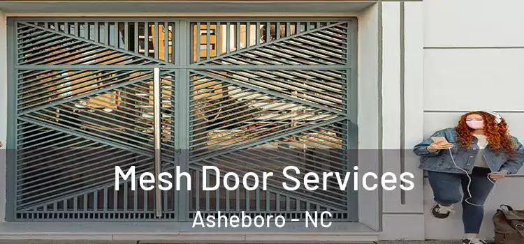 Mesh Door Services Asheboro - NC